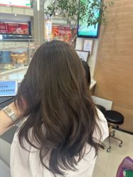-GANO HAIR 