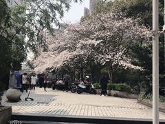 -玛格萝妮比萨屋(四平店)