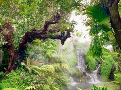 -Chom Cafe and Restaurant