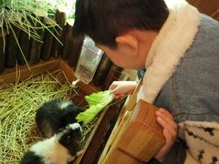 -藦茜花园宠物主题亲子互动体验馆(国顺东路店)