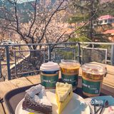 青岛崂山超小众咖啡店❗️真的有被美到呢