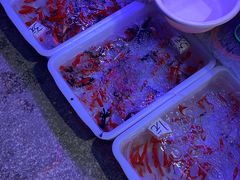 -双季花艺园艺市场(浦东店)