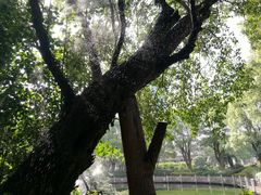 -华雅花园大酒店