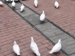 -王府井奥莱临潼小镇(临潼店)