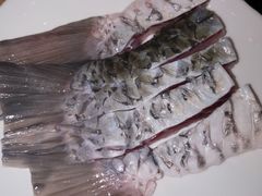 -正能量脆肉鲩火锅