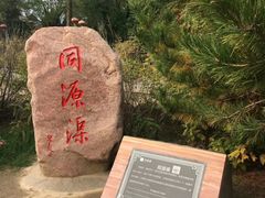 -大槐树寻根祭祖园