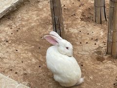 -石家庄市动物园