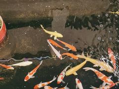 -北国之春国宴(乌兰察布店)