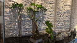 -VELEE·SPA高定疗愈会所