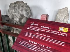 -莲池书院博物馆