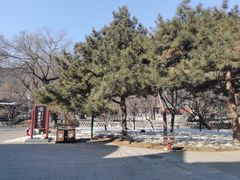 -晋祠公园