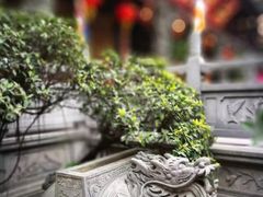 -华林禅寺