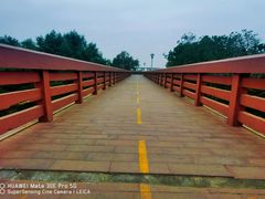 -宝安西湾红树林湿地公园