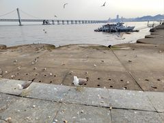 -星海广场