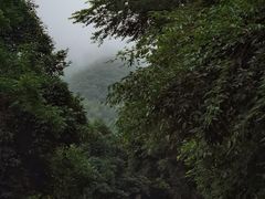 -溪口-滕头旅游景区