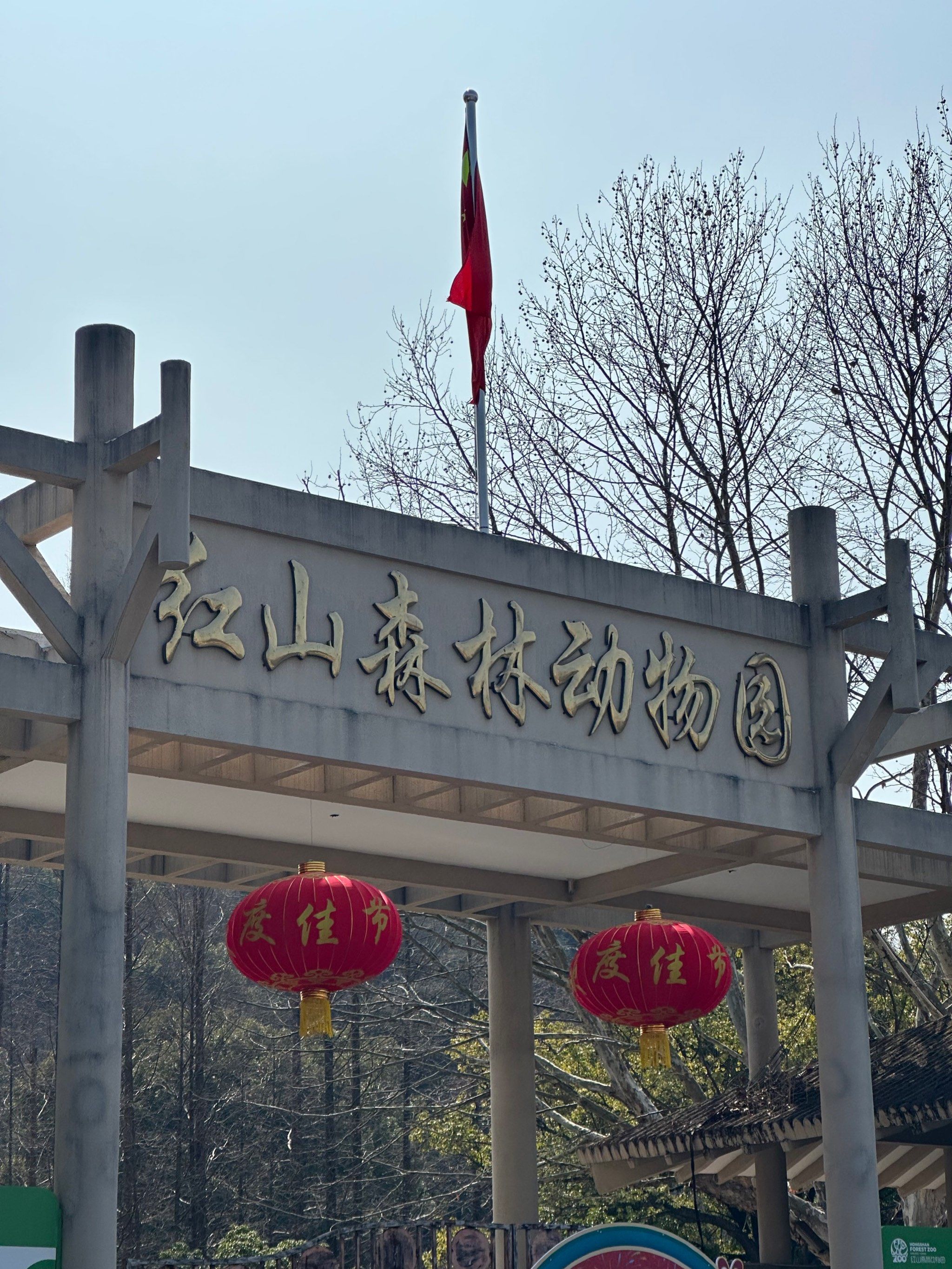 南京旅游记|红山动物园