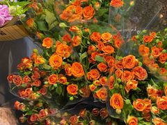 -循礼门鲜花花市(武汉循礼门店)