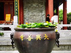 -西安大兴善寺