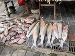 -梁子岛生态旅游区