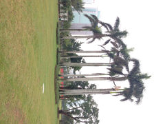 iphone_upload_pic-万绿园