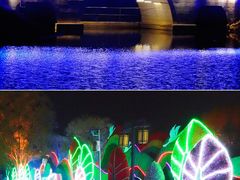 -天平湖公园