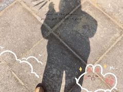 -西北湖绿化广场