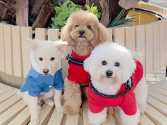 -COSTA COFFEE(斯普瑞斯奥特莱斯店)