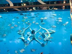 -瑞德姆美人鱼海底演艺主题餐厅(亚龙湾店)