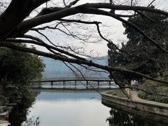 -西湖游船