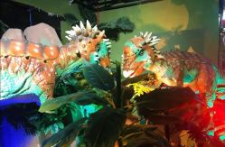 -恐龙探索乐园(磁器口店)