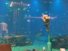 -涛·海底餐厅·美人鱼·自助餐·海底隧道(三亚海棠湾洲际度假酒店)
