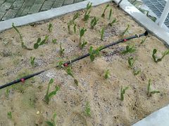 android_upload_pic-盈香心动乐园