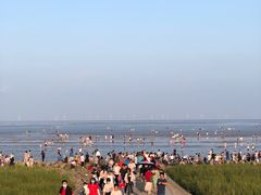 -南汇嘴观海公园