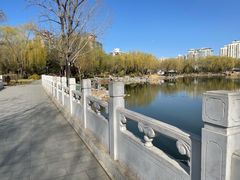 -三忘湖 SWANSEEN(柳荫公园店)