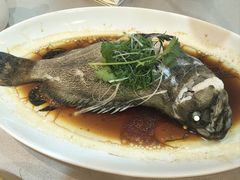 -益健美食大广场(北岭店)