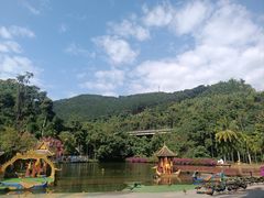 -西双版纳原始森林公园