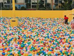 -南宫五洲植物乐园