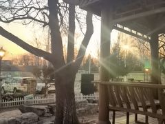 -北京市海淀外国语实验学校