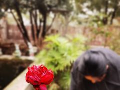 -谷咖啡·鲜花绿植花园餐厅