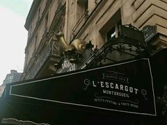 -金蜗牛
