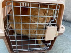 -佳雯宠物医院(四明中路分院)