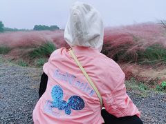 -小岭南壹号院私房菜