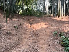 -西湖风景区十里琅珰-五云山