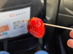 -雪儿钱局泡菜
