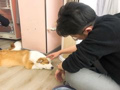 -浣熊柯尔鸭土拨鼠·电玩咖