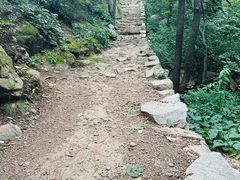 -大岭沟猕猴桃谷风景区