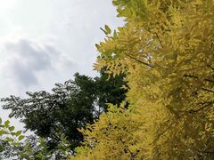 -塘沽森林公园