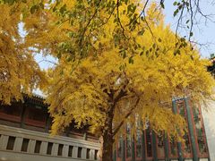 -国家图书馆·古籍馆