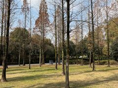 -成都南湖公园