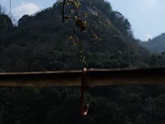 -燕子河大峡谷天坑仙境